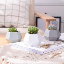 Load image into Gallery viewer, Hexagon Ceramic Planters Set - 4 Pieces - stilyo