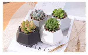 Hexagon Ceramic Planters Set - 4 Pieces - stilyo